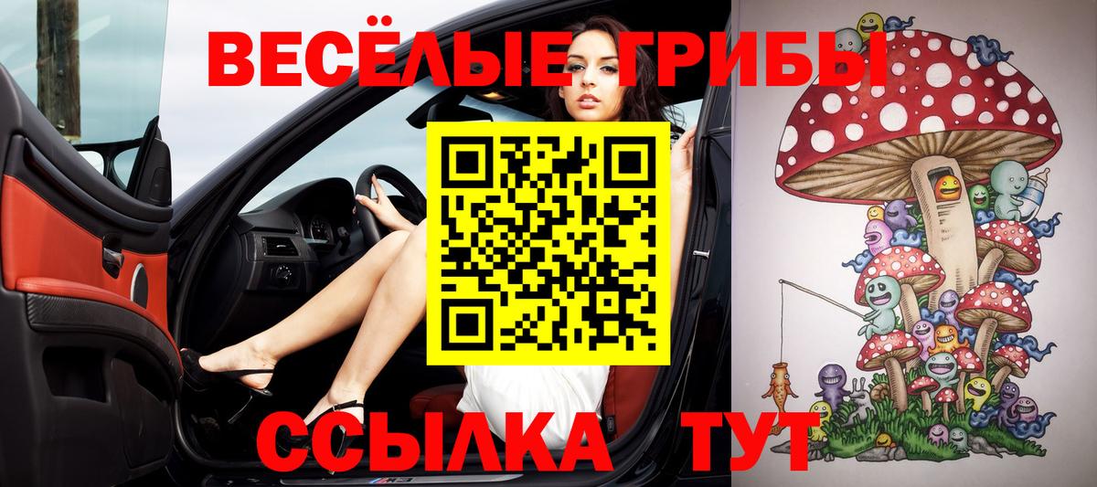 где купить наркоту  Вход с VPN  Вышний Волочёк  Псилоцибиновые грибы MAGIC MUSHROOMS 