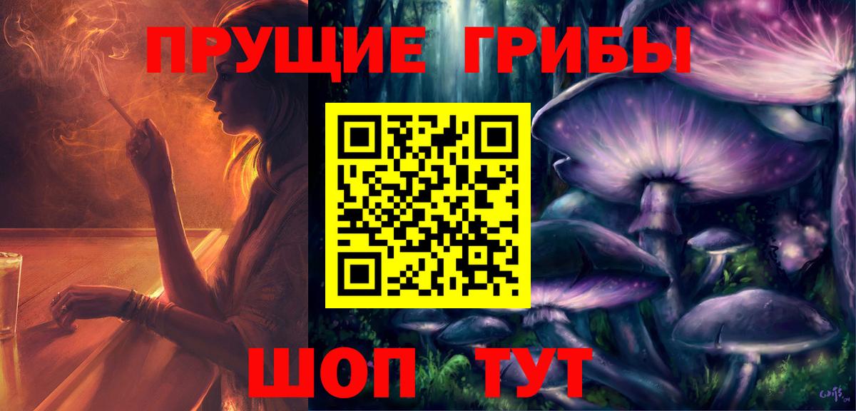 Галлюциногенные грибы Magic Shrooms Вышний Волочёк